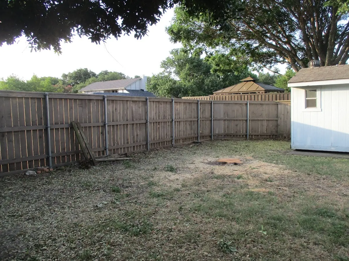 Cleared yard after professional tree removal in Guadalupe